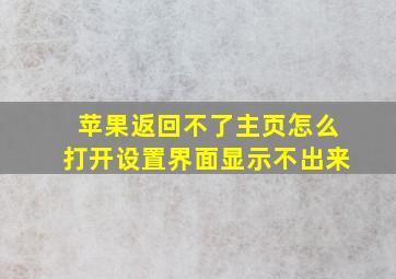 苹果返回不了主页怎么打开设置界面显示不出来