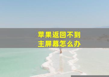 苹果返回不到主屏幕怎么办