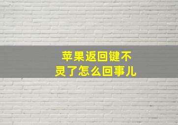 苹果返回键不灵了怎么回事儿