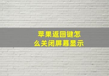 苹果返回键怎么关闭屏幕显示