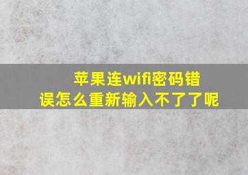 苹果连wifi密码错误怎么重新输入不了了呢