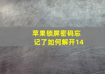 苹果锁屏密码忘记了如何解开14