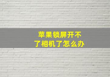 苹果锁屏开不了相机了怎么办