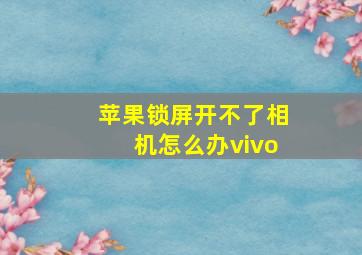 苹果锁屏开不了相机怎么办vivo