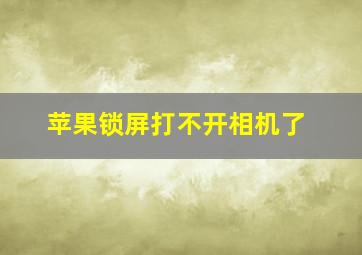 苹果锁屏打不开相机了