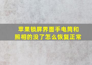 苹果锁屏界面手电筒和照相的没了怎么恢复正常