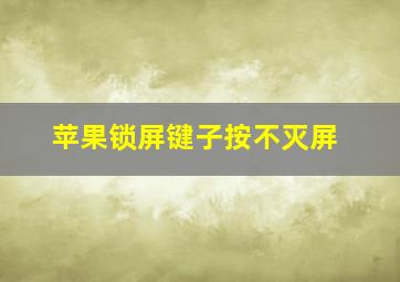 苹果锁屏键子按不灭屏