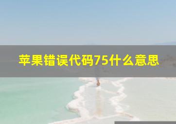 苹果错误代码75什么意思