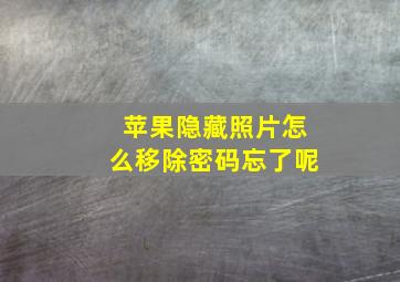 苹果隐藏照片怎么移除密码忘了呢