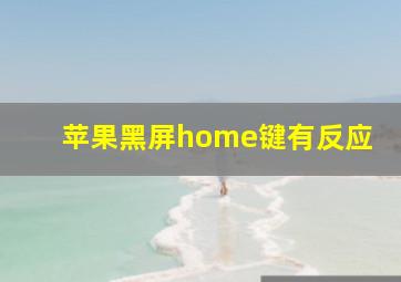 苹果黑屏home键有反应