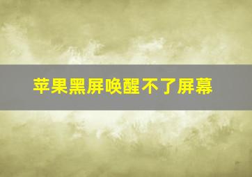 苹果黑屏唤醒不了屏幕