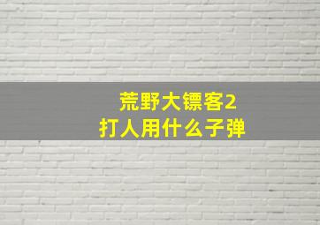 荒野大镖客2打人用什么子弹