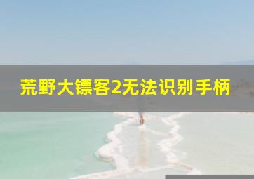 荒野大镖客2无法识别手柄