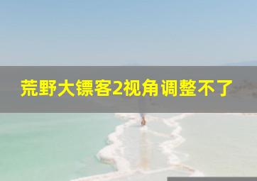 荒野大镖客2视角调整不了