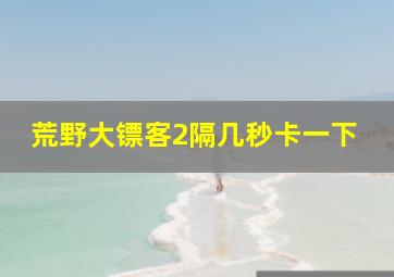 荒野大镖客2隔几秒卡一下