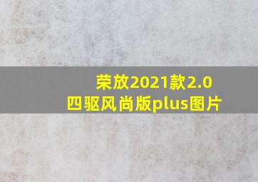 荣放2021款2.0四驱风尚版plus图片