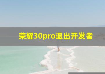 荣耀30pro退出开发者