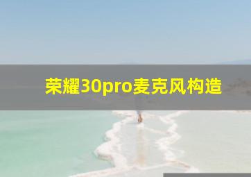 荣耀30pro麦克风构造