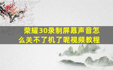 荣耀30录制屏幕声音怎么关不了机了呢视频教程