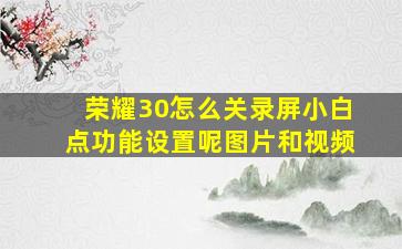 荣耀30怎么关录屏小白点功能设置呢图片和视频