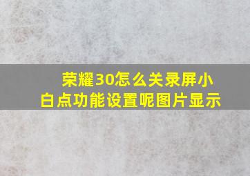 荣耀30怎么关录屏小白点功能设置呢图片显示