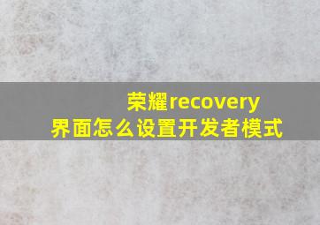 荣耀recovery界面怎么设置开发者模式