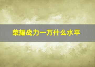 荣耀战力一万什么水平