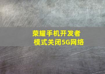 荣耀手机开发者模式关闭5G网络