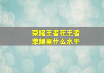 荣耀王者在王者荣耀里什么水平