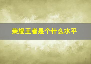 荣耀王者是个什么水平