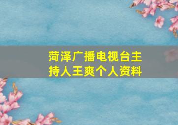 菏泽广播电视台主持人王爽个人资料