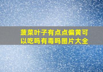 菠菜叶子有点点偏黄可以吃吗有毒吗图片大全