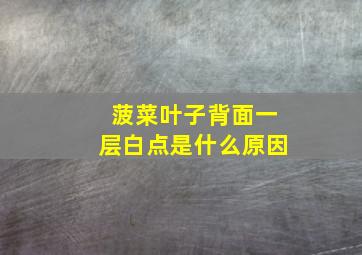 菠菜叶子背面一层白点是什么原因