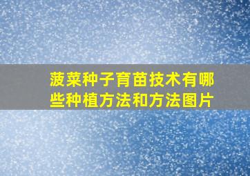 菠菜种子育苗技术有哪些种植方法和方法图片