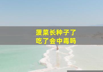 菠菜长种子了吃了会中毒吗