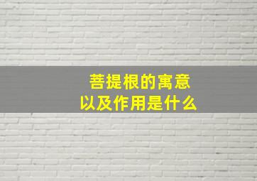 菩提根的寓意以及作用是什么