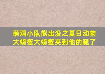 萌鸡小队熊出没之夏日动物大螃蟹大螃蟹夹到他的腿了