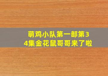 萌鸡小队第一部第34集金花鼠哥哥来了啦