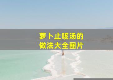 萝卜止咳汤的做法大全图片