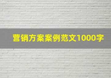 营销方案案例范文1000字