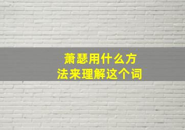 萧瑟用什么方法来理解这个词