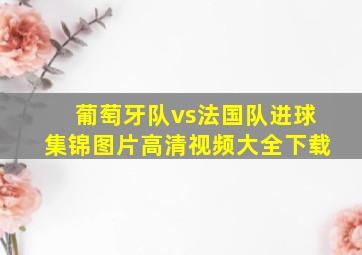 葡萄牙队vs法国队进球集锦图片高清视频大全下载