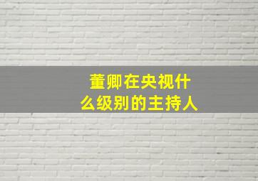 董卿在央视什么级别的主持人