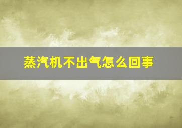 蒸汽机不出气怎么回事