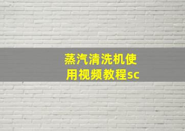 蒸汽清洗机使用视频教程sc