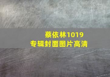 蔡依林1019专辑封面图片高清