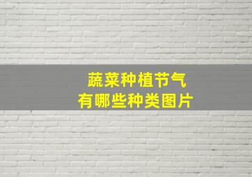 蔬菜种植节气有哪些种类图片