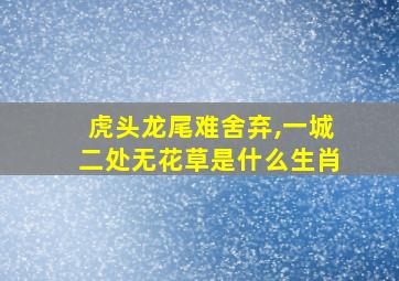 虎头龙尾难舍弃,一城二处无花草是什么生肖