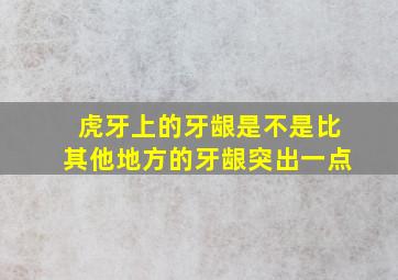 虎牙上的牙龈是不是比其他地方的牙龈突出一点