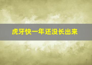 虎牙快一年还没长出来